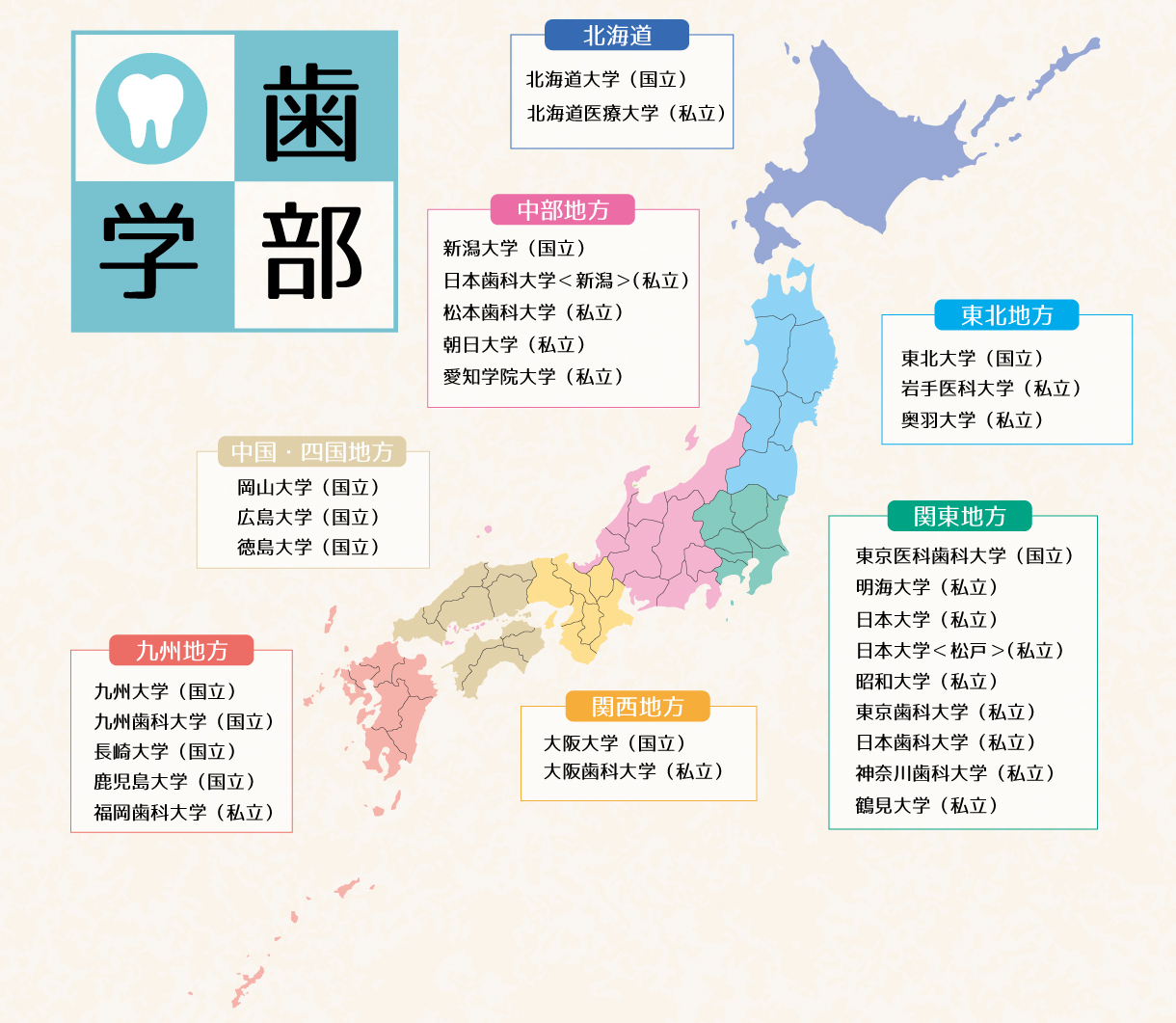 歯学部紹介ページ Ces歯科医師国試予備校