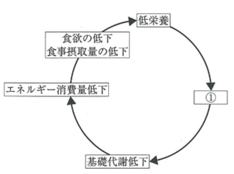 第116回 医師国家試験問題解説+kosar.ir