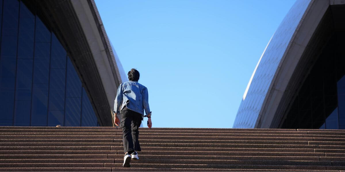 歯学部6年間の学習全体像イメージ
